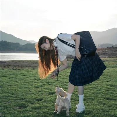蓬门绮梦